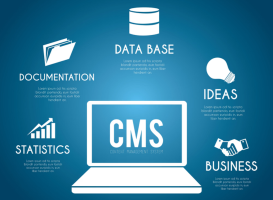 CMS Based Web Development